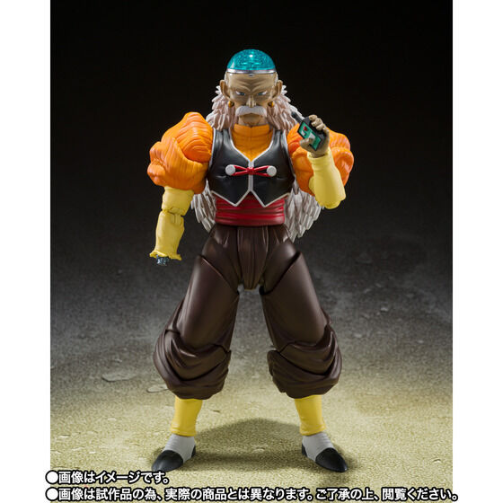 BANDAI ドラゴンボール Z S.H.Figuarts フィギュア 人造人間19号