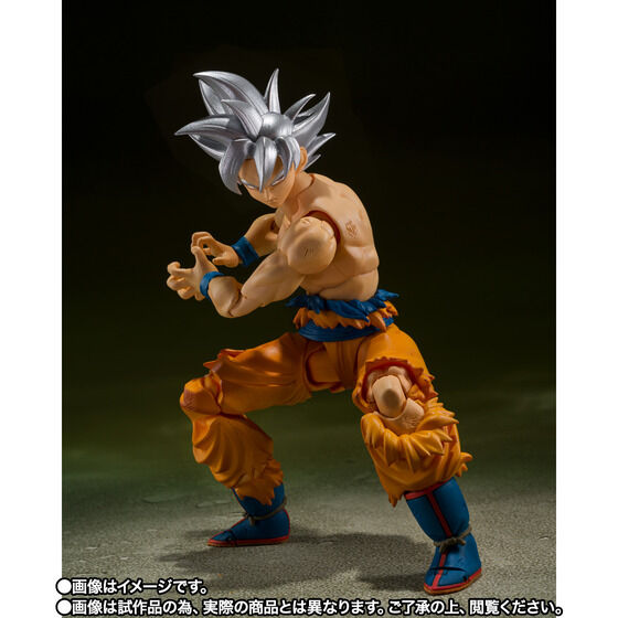 BANDAI ドラゴンボール Z S.H.Figuarts フィギュア 孫悟空 身勝手の 